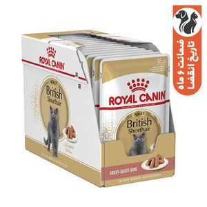 پوچ گربه رویال کنین مدل british shorthair وزن 85 گرم بسته 12 عددی